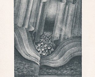 Pf 89 Jana Ondrušová-Wünschová.