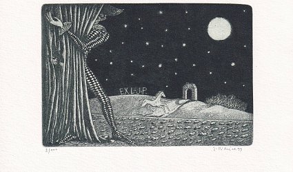 Exl. J.P. Harlekýn a kůň.