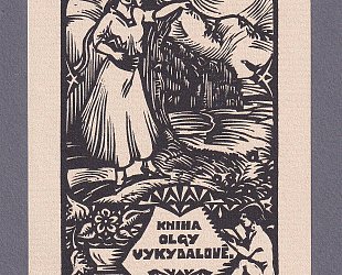 Kniha Olgy Vykydalové.