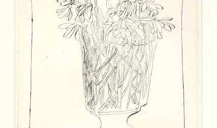 Sněženky I.