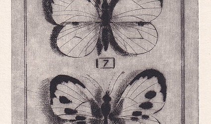 P.F. 1980 Škarohlíd.