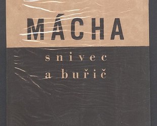 Mácha snivec a buřič.