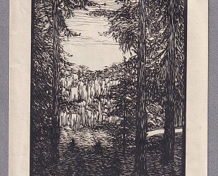 Ex Libris Franz Buchholz. Lesní krajina.