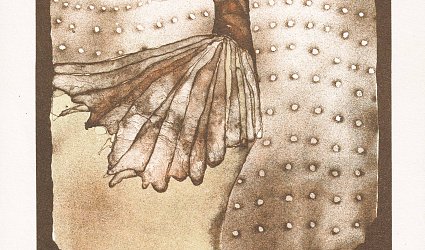 Ženský profil s lasturou.