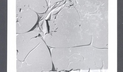 pf. 77. Vilém Reichmann.