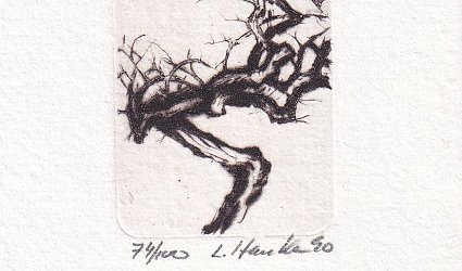 Konvolut dvou grafických listů. Přírodní motivy.